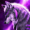 main
crew star