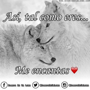 😭😭😔😭💔😔😔😔💔