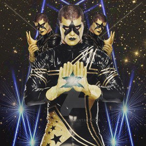 Stardust 1st 