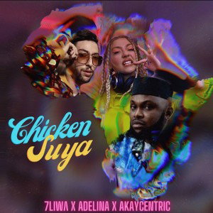 7liwa _ Chicken Suya
