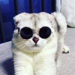 куш