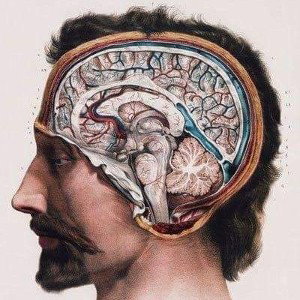 vida