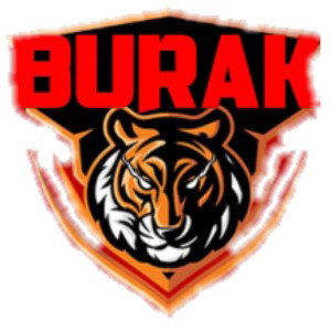 Tiger2