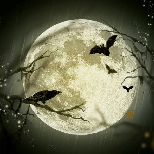 heropedroyt- Vampire (Music)
