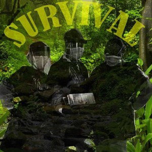 survival Mode