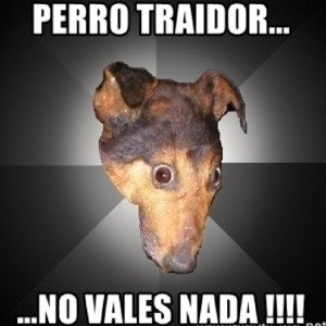 contesta puta de contrato 🐶MC Rauter 🐸