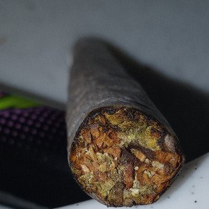Gelato kush - CAPELOKDN