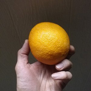 I Thought It Was A Grapefruit!