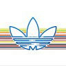 main
crew star