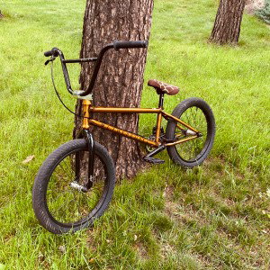 BMX 