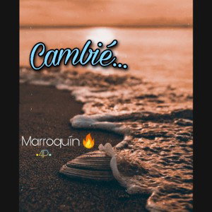 Cambié...