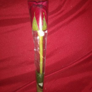 TOO MY HOMIES  DAT GONE  FOREVER by dappa nottah rappah