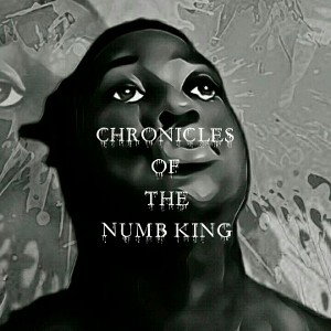 Chronicles Of The Numb King