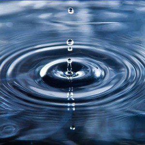 Ripple Effects