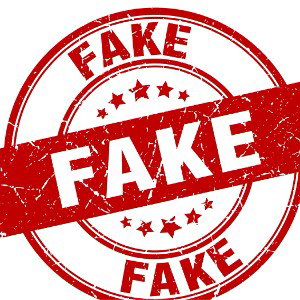 Fake Rapper