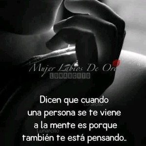 amor y desamor para ti los lenbronistas alfred str 