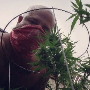 masked up