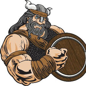 Frontline Viking Verse