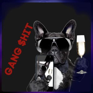 In the Gang Gang $hit Pt.3 Prod. Hip-hop Beats