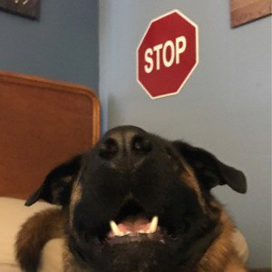 Keep Going! (Zookie Warning Track)