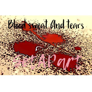 bloodsweatandtears