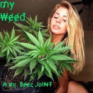 My Weed _A Mr. Beez Joint_