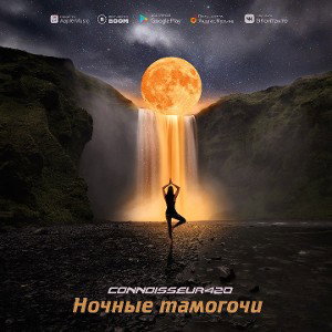Ночные тамагочи