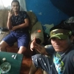 mi Homs amarillo