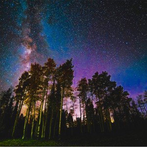 November Nights (Prod. Fantom)