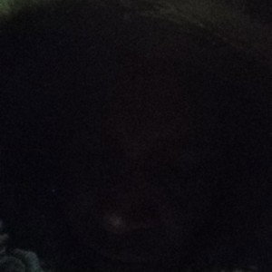 Ender is I Dragone