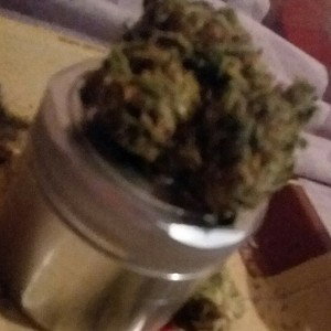 Roll it up  (freestyle)