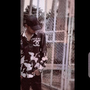 royal_stephan_beat