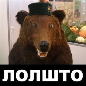 Енотик             (бенгир 2020года)