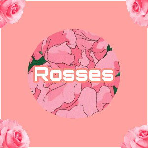 Rosses!