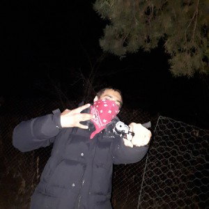 Freestyle 