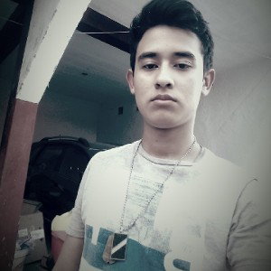 abeses 