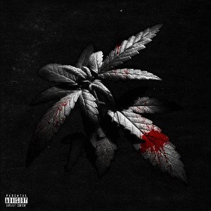 Li Quez - Blood On Da LeavesTik Tok Song