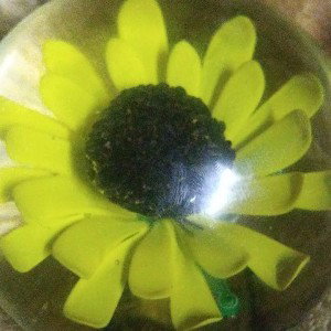 Mom's
