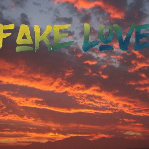 fake love ft frostee