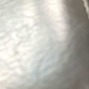 From the bottom