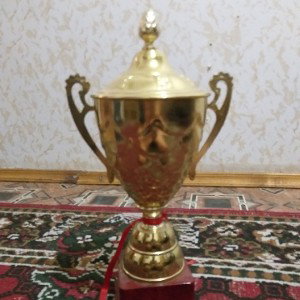 я нормальний парень 