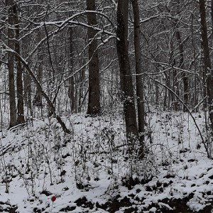 Misty_Mountains_Cold_by_Blue_Collar_Flute_NAF_Native_Flute