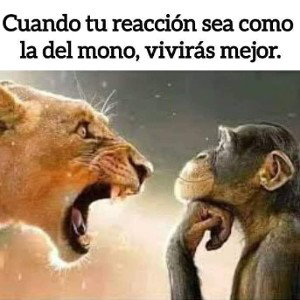 mono😎
