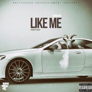 Like Me - RayBans