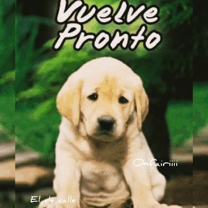  regresa 