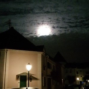 POESIE