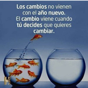 rompiendo con toda