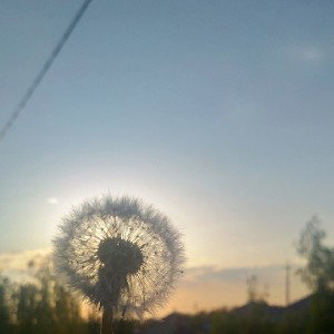 Заметался пожар голубой