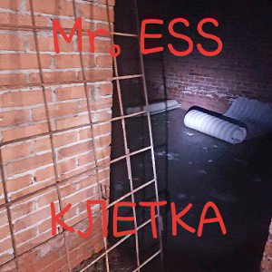 Скинхеды