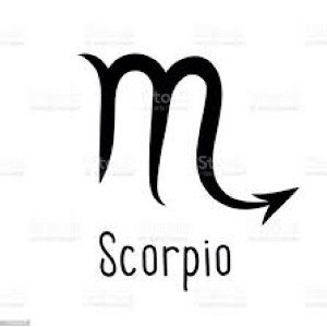 Scorpio Freestyle 